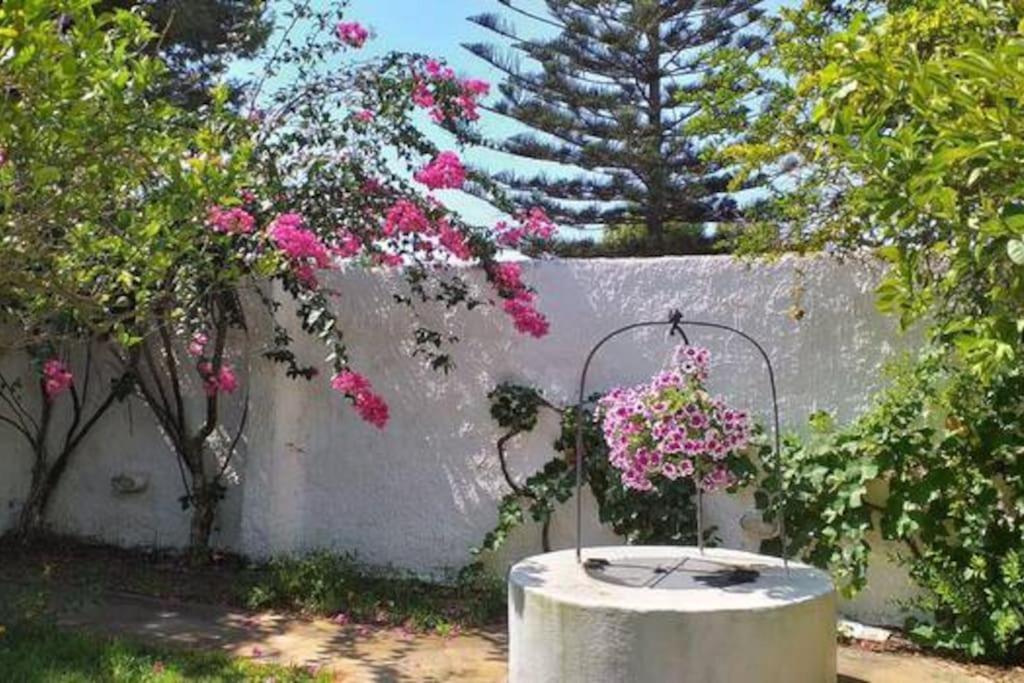 Villa Mozia Riserva Dello Stagnone Marsala Extérieur photo